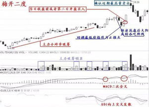 如何抓住狂涨的股票市场