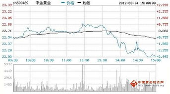 中金黄金股票今天如何