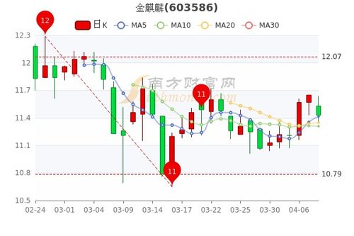 金麒麟股票如何 金麒麟股票如何