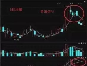 如何将股票卖在最高点