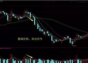 如何按价格搜股票涨跌