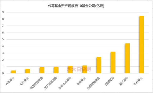 证券基金怎么成立