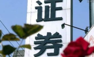 证券公司是怎么买卖证券