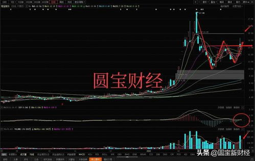 如何清除股票数据分析 如何清除股票数据分析