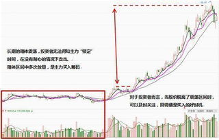 股票如何获得