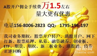 如何查股票开户
