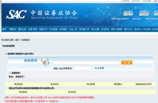 证券协会网站怎么查询