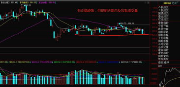 公司股票异常如何举报