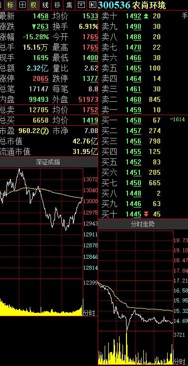 创业板股票号码如何排股