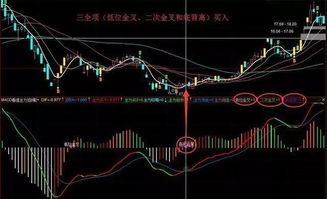 股票交易公式如何记住