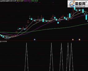通达信股票编码如何查看