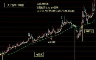股票如何在线学习