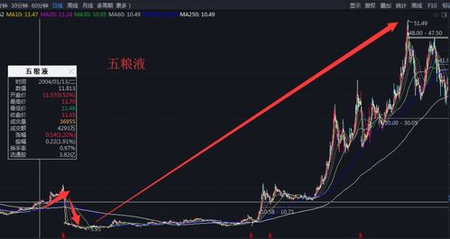 林园如何看待股票