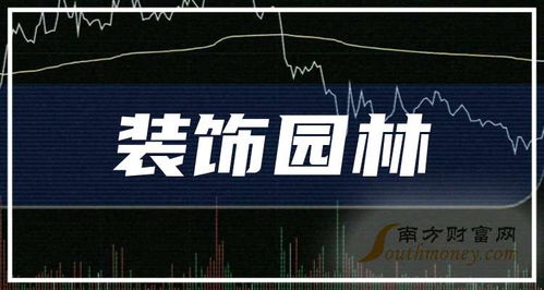 林园如何看待股票