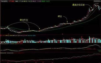 如何看懂股票流通股 如何看懂股票流通股