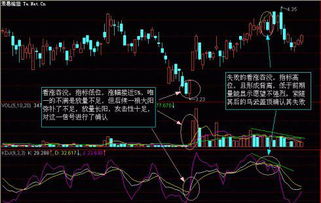 股票如何判定是涨还是跌