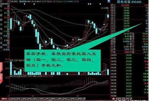 如何看清主力股票 如何看清主力股票