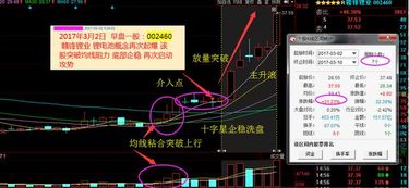 如何看股票机构介入比例