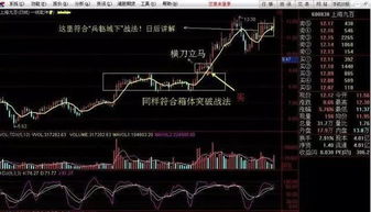 看高手如何砍价买股票