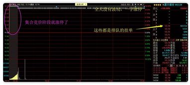 入门如何看懂股票