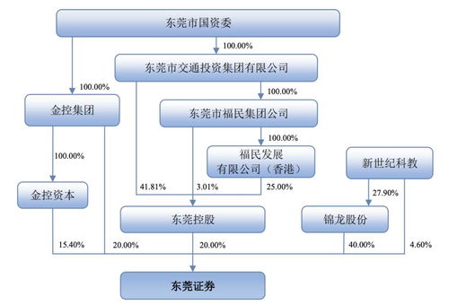 东莞证券怎么查询股票