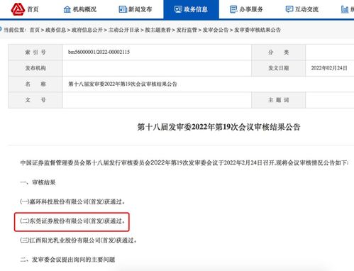 东莞证券怎么查询股票
