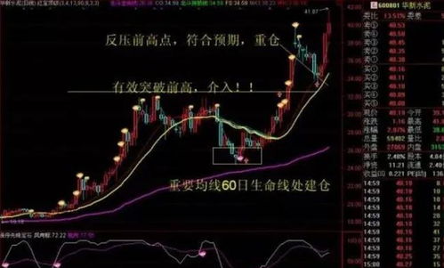 如何选股比较稳定的股票