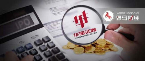 华宝证券怎么成立