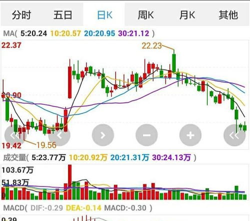 如何看待假期股票 如何看待假期股票