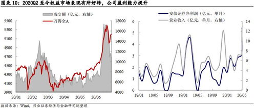 如何申购国投转债股票