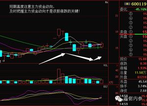 公司投资股票走势如何 公司投资股票走势如何