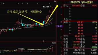 如何选到一只股票大涨股