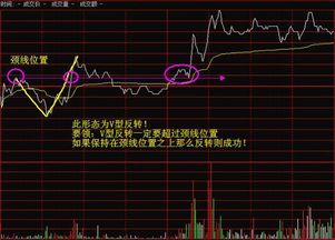 如何看待大涨的股票行情 如何看待大涨的股票行情