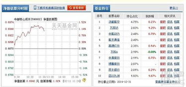 如何查配偶名下基金股票