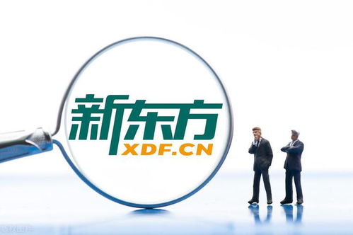 如何买新东方股票