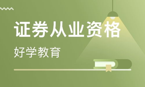 证券从业职业怎么填