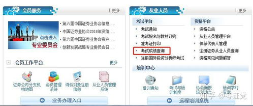 19年的证券成绩怎么查