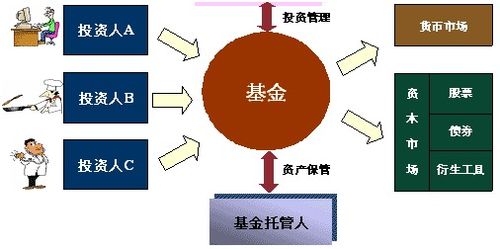 证券投资基金怎么上课