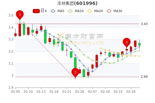 集团股票如何