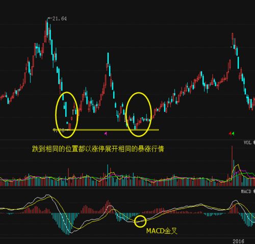 股票主力资金如何看涨停 股票主力资金如何看涨停