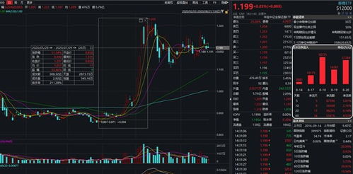 怎么确定证券账户销号没