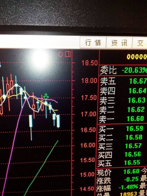 东莞证券怎么看成交量