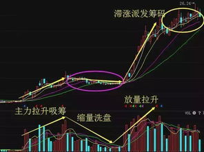 如何多一支股票做空
