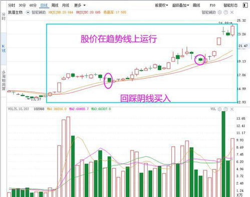 如何进行股票线下认购 如何进行股票线下认购