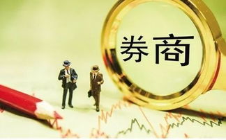 新手怎么去证券公司上班