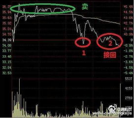 如何查自己股票资金账号