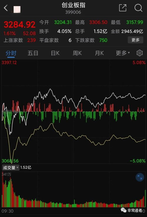 个人如何投资股票