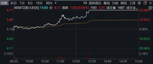 拍卖股票如何上市的
