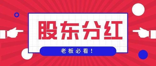 如何了解股票分红