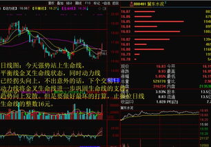 如何分析水泥股票